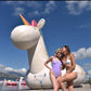 Beckett Crease Style Top High Cut One Piece Swimwear Swimsuit